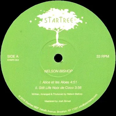 Nelson Bishop - Nelson Bishop (Incl. Darshan Jesrani Remix) : 12inch