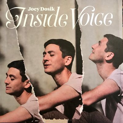Joey Dosik - Inside Voice : LP+DOWNLOAD CODE