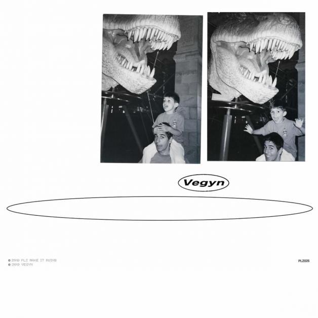 Vegyn - Only Diamonds Cut Diamonds : 2LP
