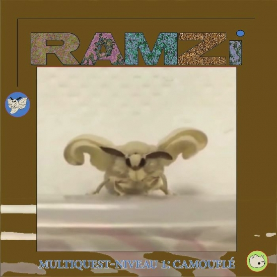 Ramzi - Multiquest Niveau 1: Camouflé