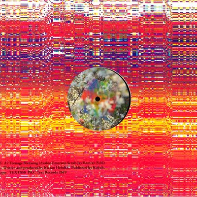 Four Tet - Teenage Birdsong : 12inch