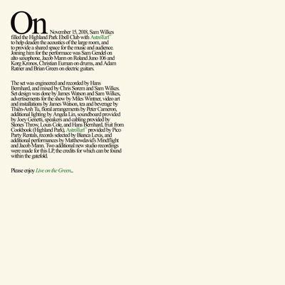 Sam Wilkes - Live on The Green