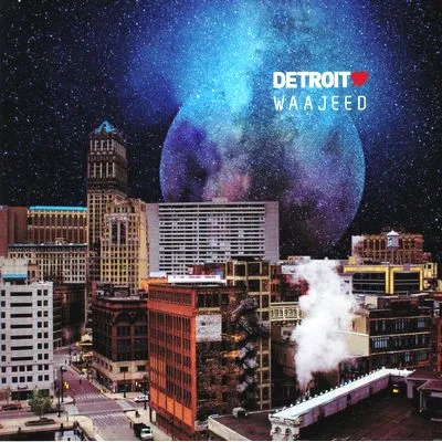 Various - Waajeed - Detroit Love Vol.3 : 2LP
