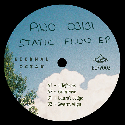 Awo Ojiji - Static Flow EP : 12inch