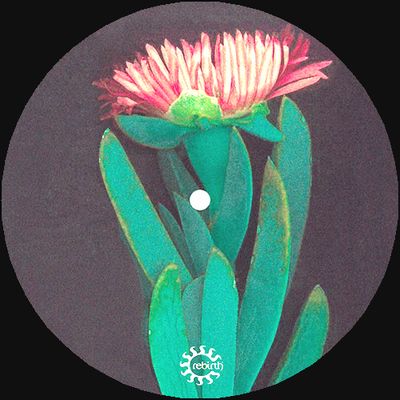 Chromatic Filters - Lido Iride EP : 12inch