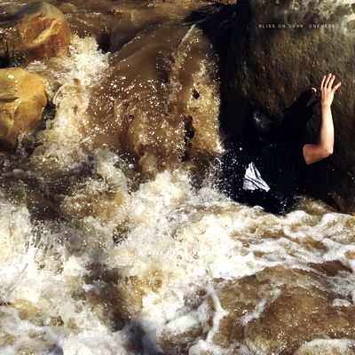 Carlos Niño & Friends - Bliss On Dear Oneness