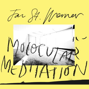 Jan St. Werner（mouse On Mars） - Molocular Meditation feat. Mark E. Smith : LP