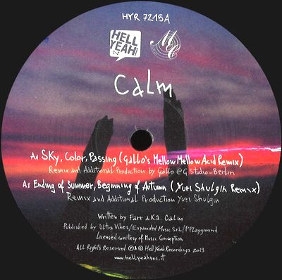 Calm - By Your Side - Remixes Part 3 : 12inch