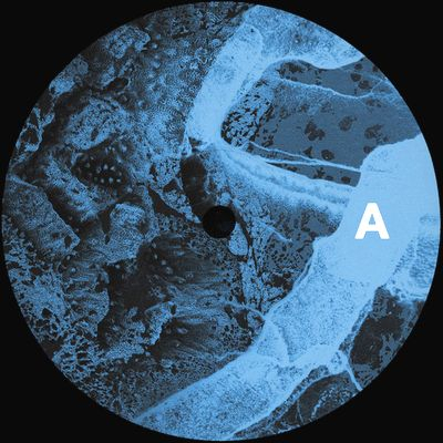 Dubfound - Fanout