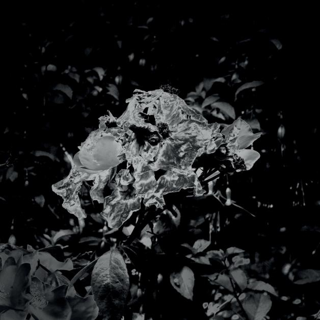 Unperson - The Ghosts That Gave EP