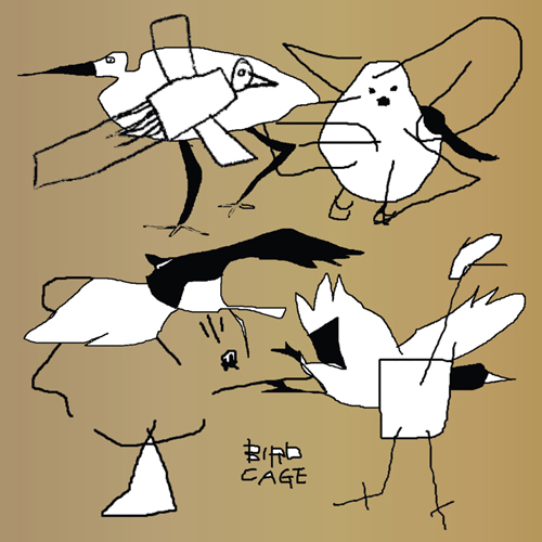 Various Artists - Bird Cage: Birdfriend Archives : 2LP