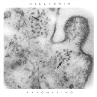 Kayo Makino - MELATONIN : MIX-CD-R