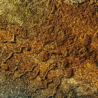 Various - Velvet Desert Music Vol. 2 : 12inch×2＋DL