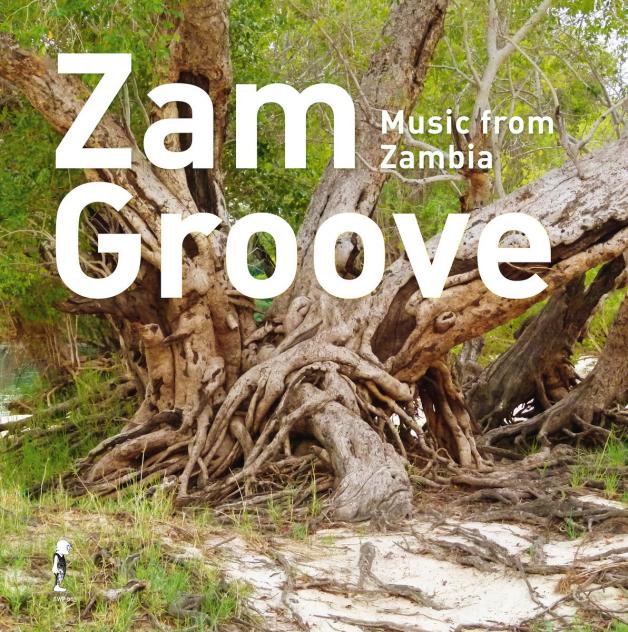 Various Artists - Zam Groove : LP