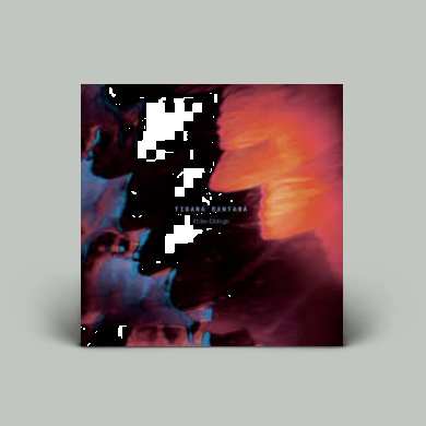 Artist: TIGANA SANTANA : Newtone Records