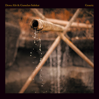 Dewa Alit & Gamelan Salukat - Genetic : LP