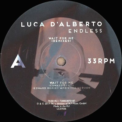 Luca D'Alberto - Wait For Me (Remixes) : 12inch