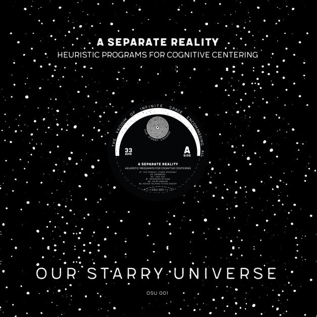 A Separate Reality - Heuristic Programs For Cognitive Centering : 12inch