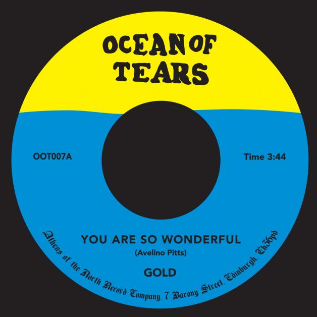 Gold - You Are So Wonderful : 7inch