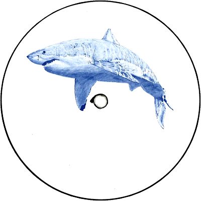 Kyle Hall - The Shark EP : 12inch