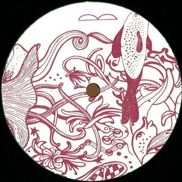 Duijn & Douglas - A Little Something : 12inch