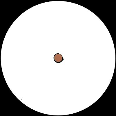 Various - FTP Bootlegs 12"