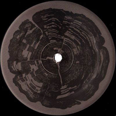 Mike Dehnert - The Many Roots : 12inch