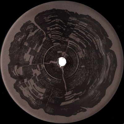 Mike Dehnert - The Many Roots