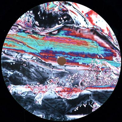 Pris - A Shot Across The Bows