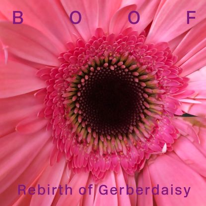 Boof - Rebirth Of Gerberdaisy : 2LP