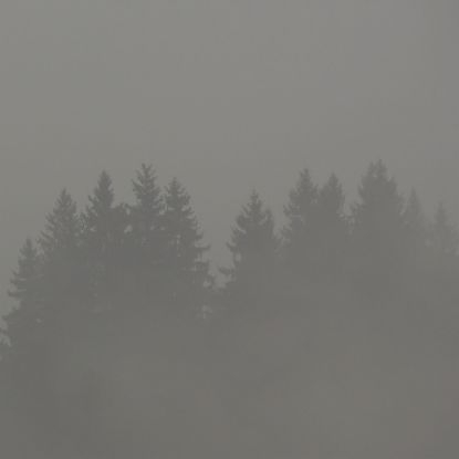 Max Loderbauer - Donnerwetter