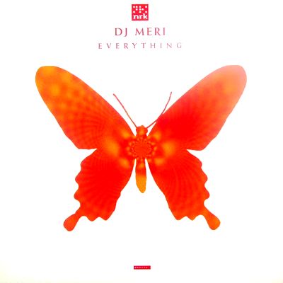 DJ Meri - Everything : 12inch
