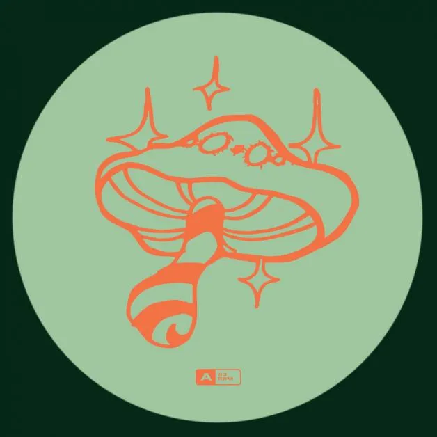 Psychedelic Budz - Faerie Stomp : 12inch
