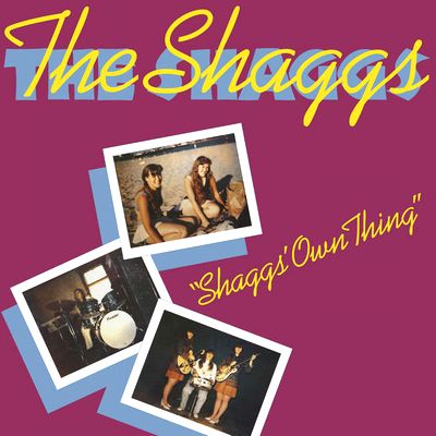 The Shaggs - Shaggs' Own Thing : LP