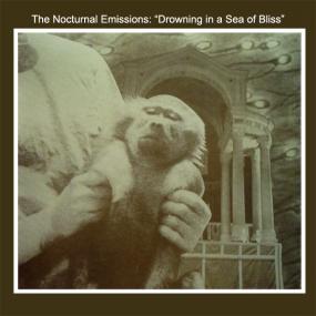 Nocturnal Emissions - Drowning In A Sea Of Bliss (Anthems Of The Meat Generation) : LP