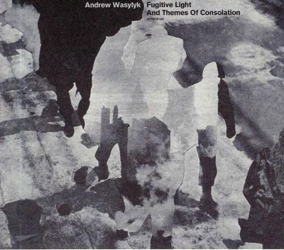 Andrew Wasylyk - Fugitive Light and Themes of Consolation
