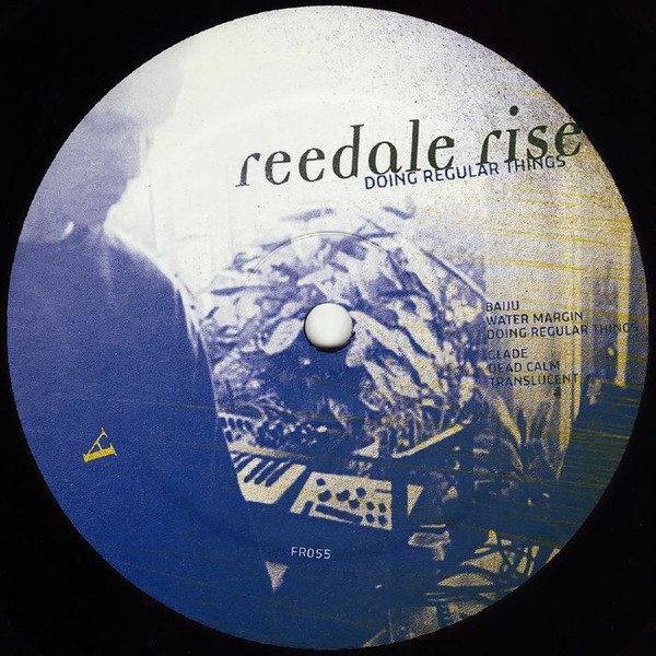 Reedale Rise - Doing Regular Things : 12inch