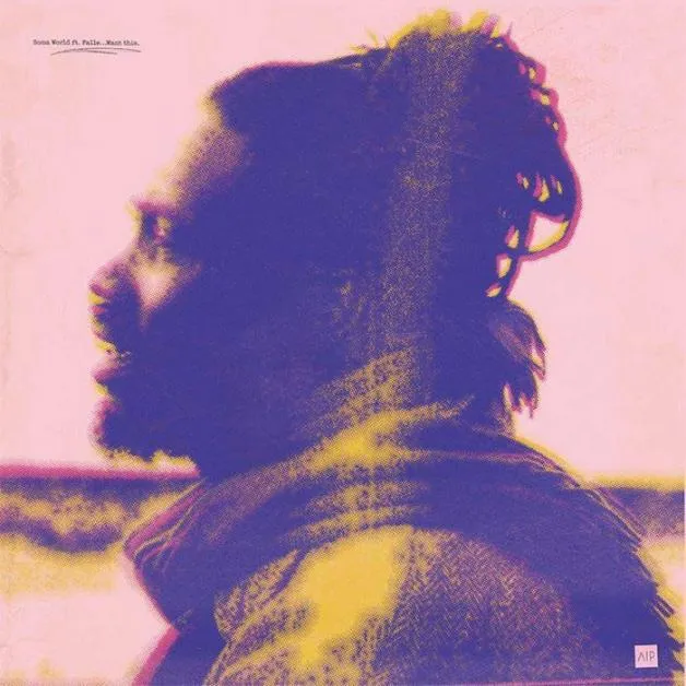 Soma World Feat. Falle - Want This (feat. Ray Mang Remix) : 12inch