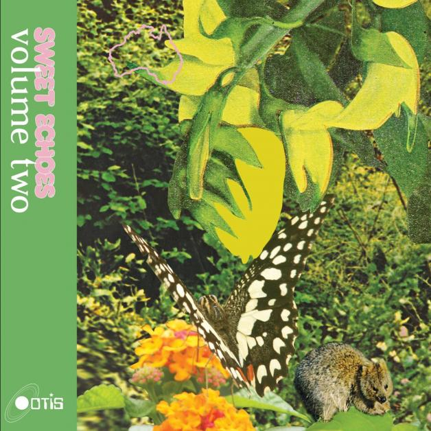 Various - Sweet Echoes Vol.2