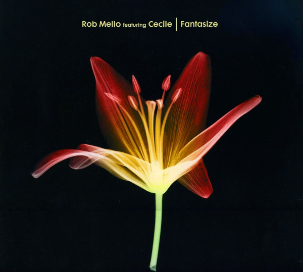 Rob Mello Feat. Cecile - Fantasize : 12inch