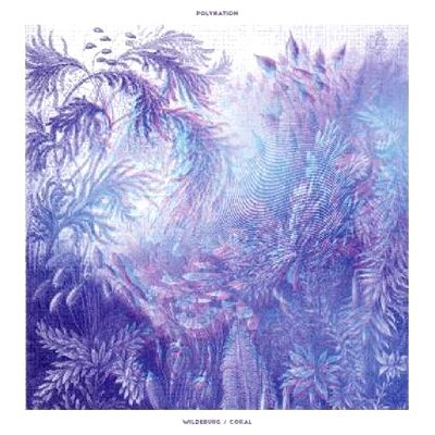 Polynation - Wildeburg / Coral (clear Vinyl)
