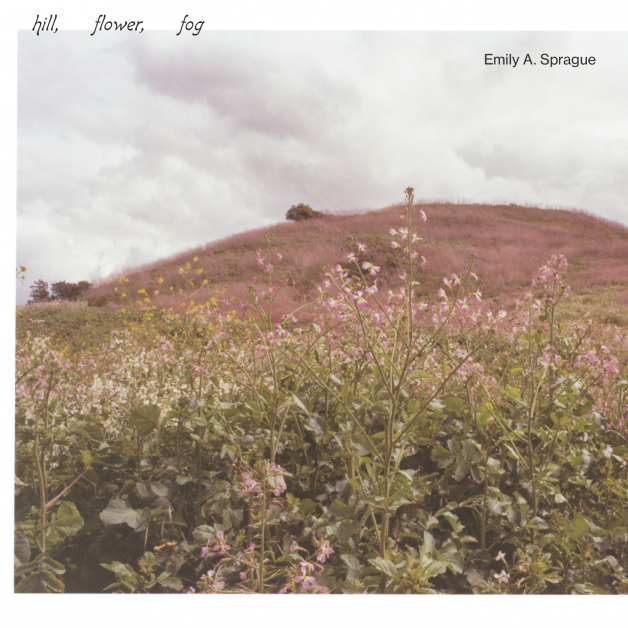 Emily A. Sprague - Hill, Flower, Fog : CD