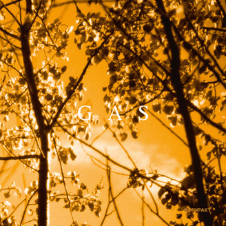 Gas - Königsforst