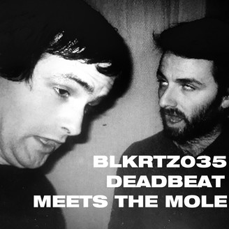 Deadbeat / The Mole - Deadbeat Meets The Mole : 2LP