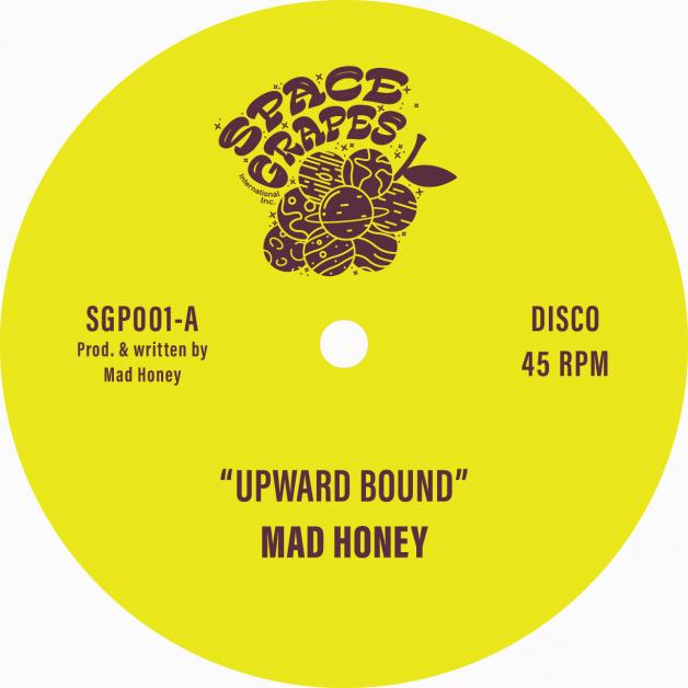 Mad Honey - Upward Bound / Treasure Every Sunset : 12inch