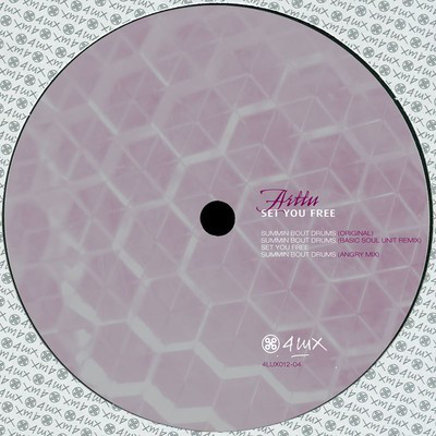 Arttu - Set You Free : 12inch