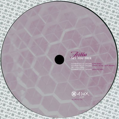 えのんThe Articulate Artists 他5枚 3部作】A WORK OF ART VINYL - Ultimate Record Covers TOMOO