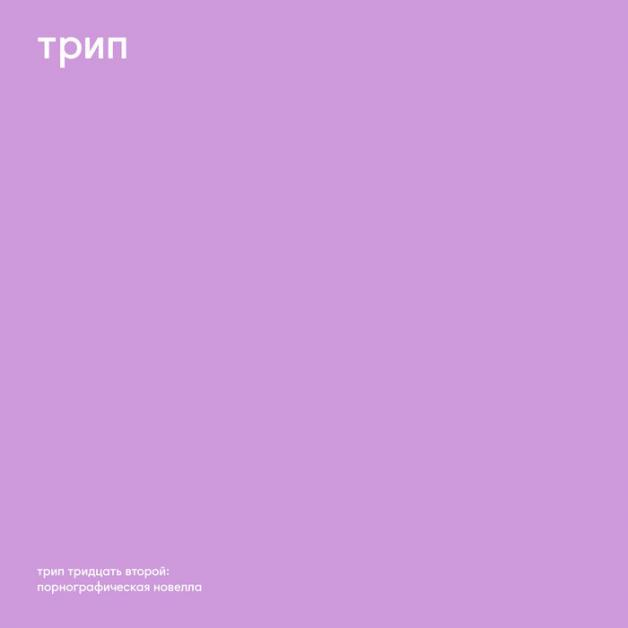 Vladimir Dubyshkin - Pornographic Novel