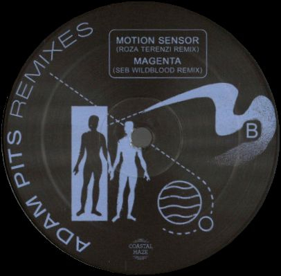Adam Pits - International Wafter : The Remixes