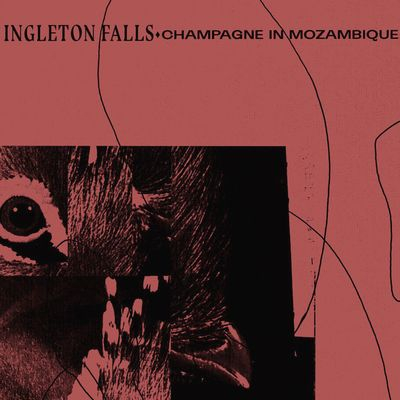 Ingleton Falls - Champagne In Mozambique